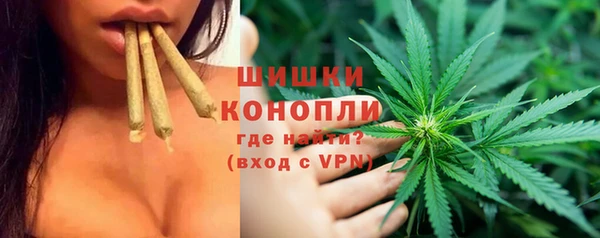 PSILOCYBIN Беломорск